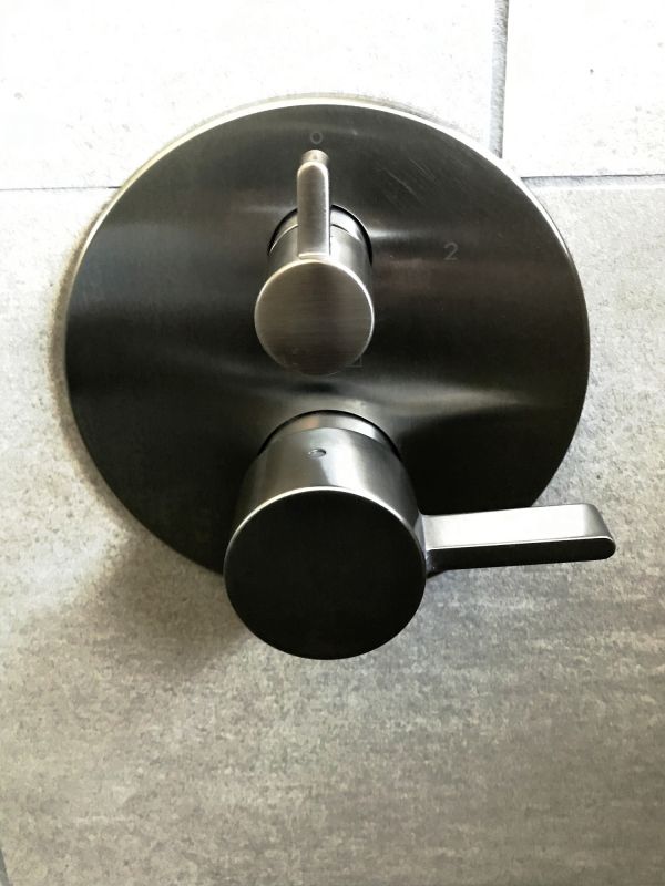Shower Lever Repair in Denver, CO